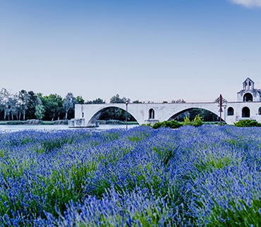 entreprise informatique Avignon